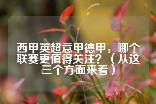毅力