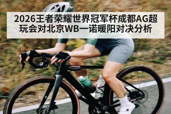 2026王者荣耀世界冠军杯成都AG超玩会对北京WB一诺暖阳对决分析