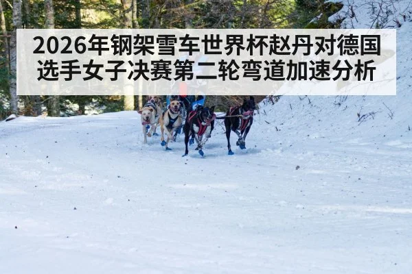 skeleton sled racing speed winter